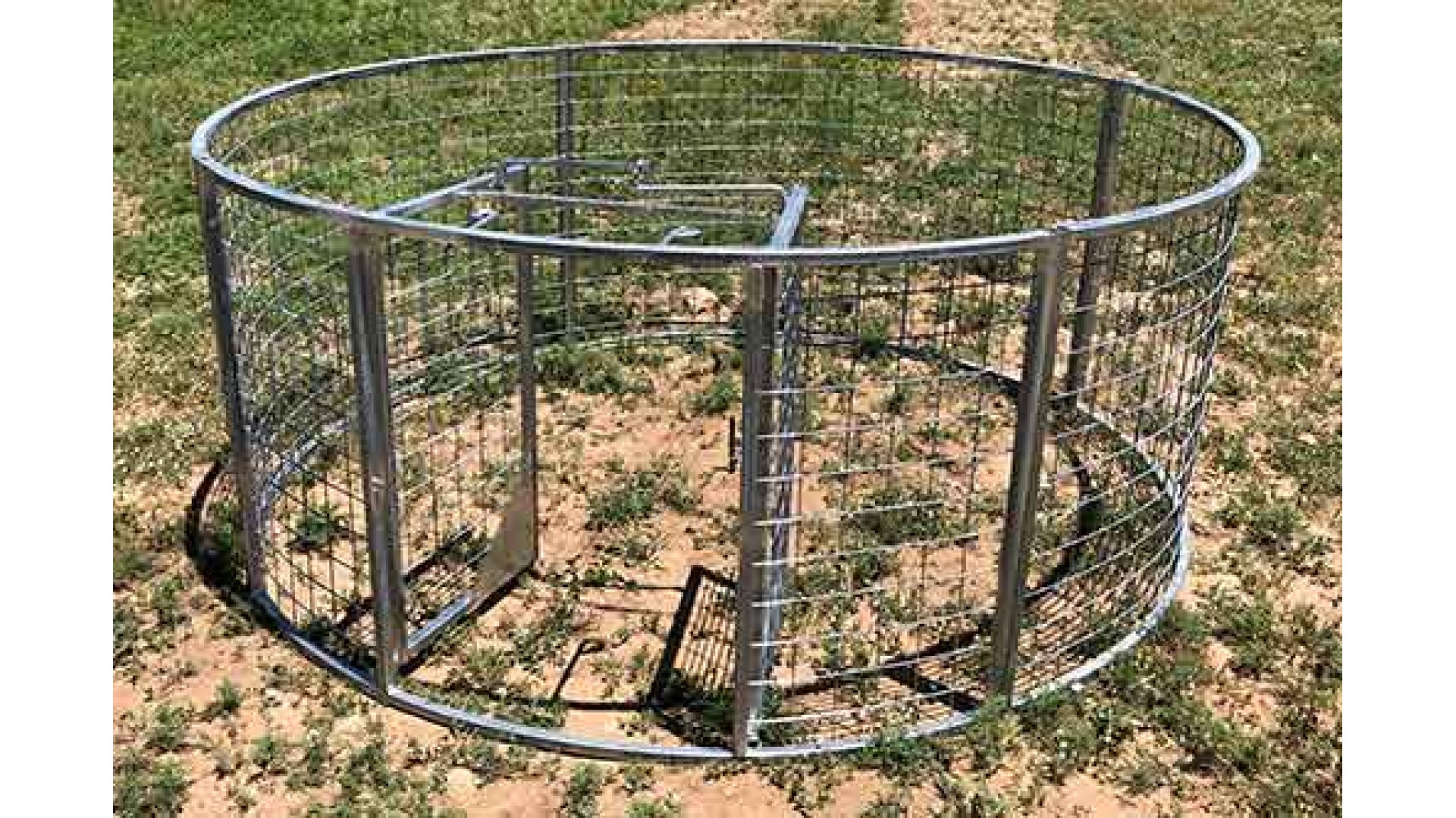 How To Build A Hog Trap With Cattle Panels